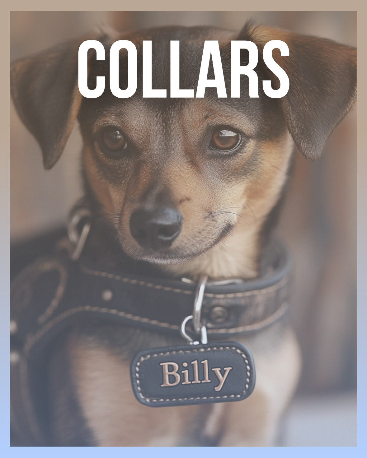 Collars