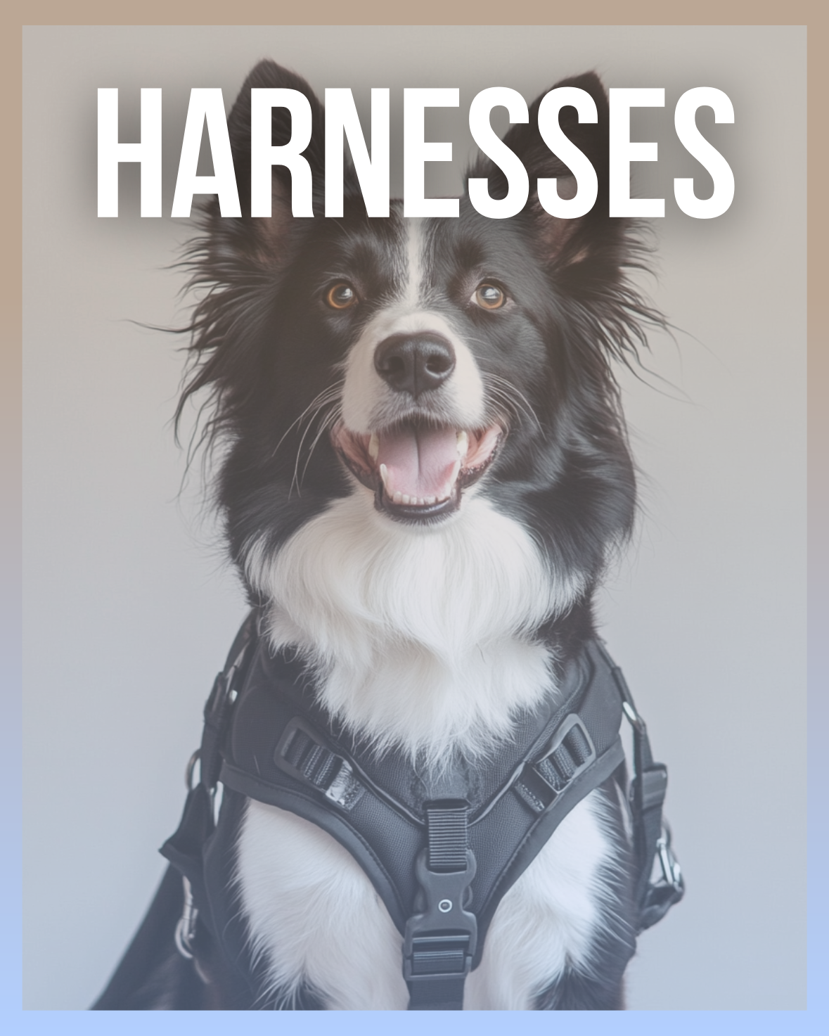 Harnesses