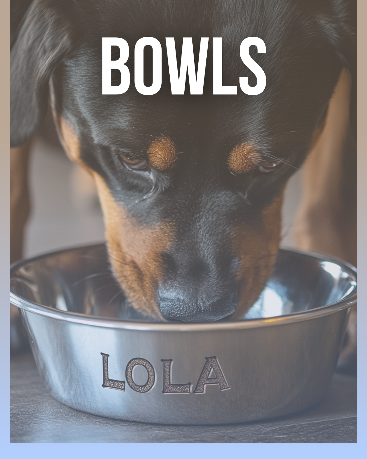 Bowls